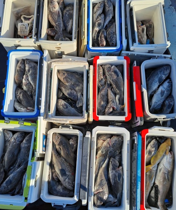 711c7305ed0f74ac8f07d06730d35cbe_1776014