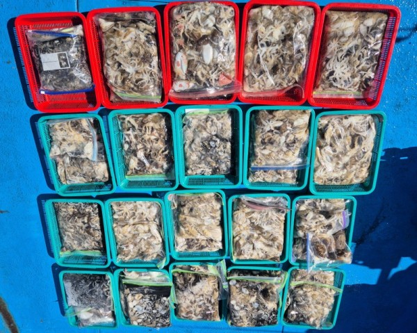 ff945fcfbe5fa5b281d5e21870caffd0_1789372